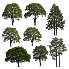 Nine Isolated Trees with Transparent Background