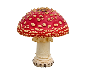 Isolated Photorealistic Red and White Mushroom on Black Background