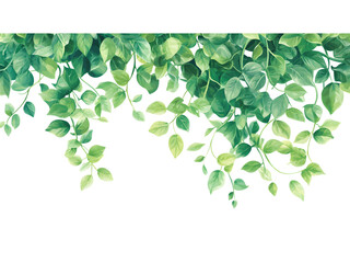 Hanging greenery, vibrant shades of green.