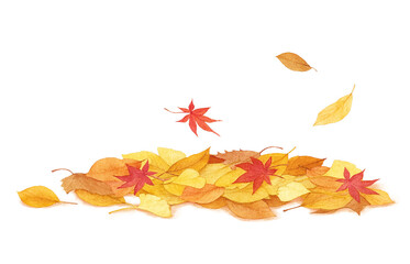 落ち葉 イラスト 水彩