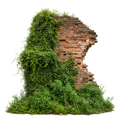 Obraz premium Isolated Photo Old Brick Wall With Green Ivy