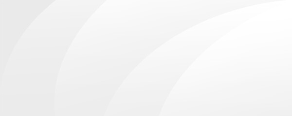 White geometric abstract background overlap layer on bright space with lines effect decoration. Modern graphic design element circles style concept for banner.