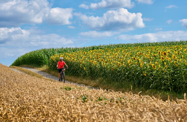 nice and active senior woman cycling with her electric mountain bike between field of blooming sunflowers an gold wheat, Stuttgart, Germany