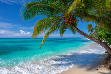 Idyllic Tropical Beach with Palm Tree and Turquoise Water Paradise Vacation