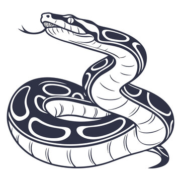 Ball Python Vector Illustration &ndash; Exotic Snake Reptile Design