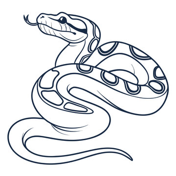 Ball Python Vector Illustration &ndash; Exotic Snake Reptile Design