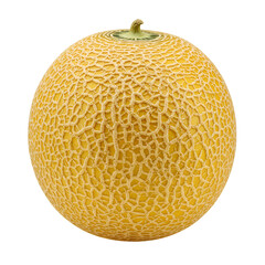 Isolated Photorealistic Ripe Yellow Melon on Black Background