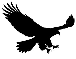 Obraz premium Majestic bird of prey in flight powerful wings spread wide sharp talons extended dark silhouette against a bright background dynamic pose soaring high above