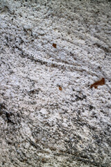 Textured Rock Surface Close Up