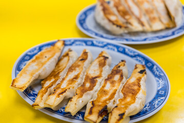Japanese grill meat dumpling dish