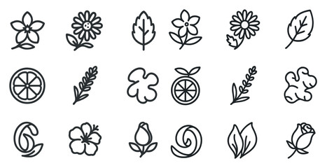 Nature and botanical outline icons set – floral, leaf, garden design graphics