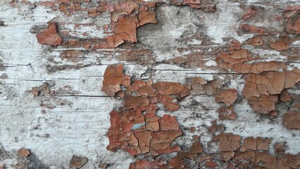 Peeling Paint On Wood Texture, Brown White Orange, Distressed Grunge Background