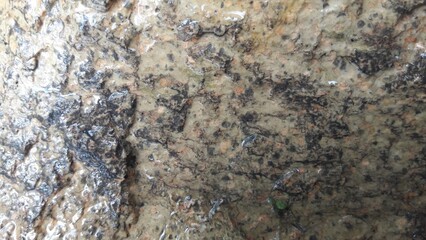  Wet Rock Surface Textured Close-Up, Grey Brown Black, Natural Grungy Background
