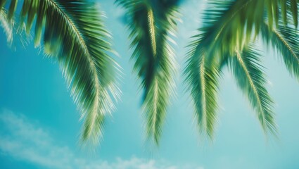Fototapeta premium Palm leaves against a bright blue sky, tropical nature, summer vibe, lush greenery, outdoor scenery, nature landscape.