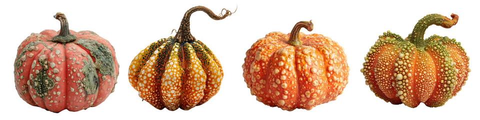 Collection of warty pumpkins isolated on white or transparent background