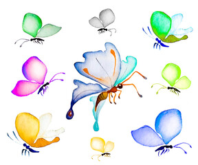A set of watercolor butterflies on a white background. Hand drawn illustrations in a vintage style for logos or designs.