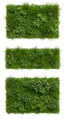 Realistic 3D Green Grass Textures Isolated on Black Background