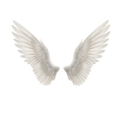 Obraz premium Realistic Illustration of White Angel Wings on Transparent Background