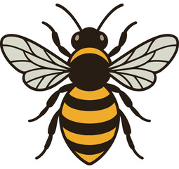 bee vector illustration