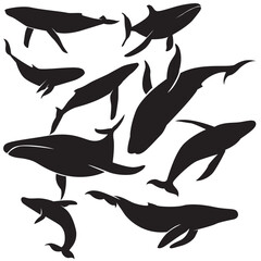 Illustration vector graphics of A set whale silhouette in various dynamic poses perfect for background, stickers, Clipart, decorations, animals themed, decorations,  educational materials, etc