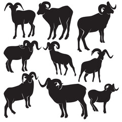 Illustration vector graphics of a set Dall sheep silhouette in various dynamic poses perfect for background, design templates, stickers, Clipart, animals themed, decorations,etc