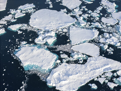 Aerial view of scattered ice floes juxtapose the dark, frigid waters surrounding Seymour Island, creating a stark, beautiful contrast, Seymour Island, Antarctica.