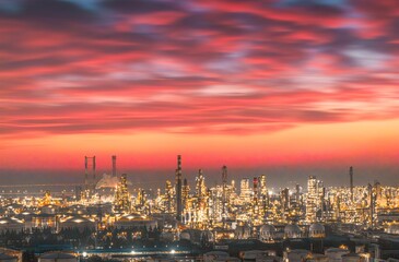 Fototapeta premium flying birds in the wildlife