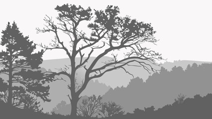 Obraz premium : -monochromatic-abstract-painting-with-layered-text.svg