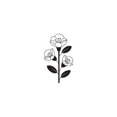 Black and white outline illustration of a flowering branch with three blossoms and leaves bloom plant