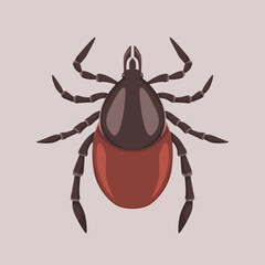 vector lice illustration realistic hand drawn