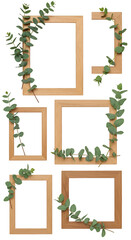 Set of Wooden Frames With Eucalyptus on Transparent Isolated Background