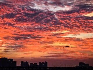 sunset over the city