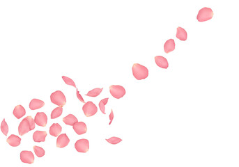 Realistic Illustration Pink Rose Petals Falling On Transparent Background