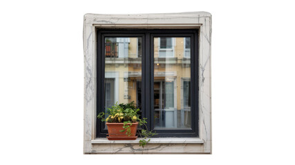 Elegant Marble Window with Black Frame and Potted Plant