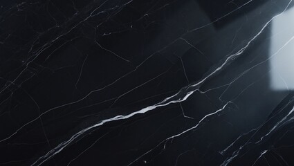 Black marble with white veins and glossy surface.