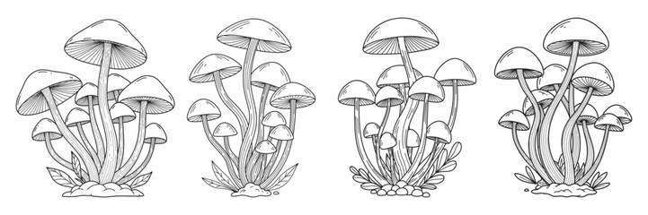 Mushroom set line art silhouette vector illustration