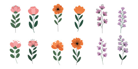 Illustration - plant drawing of colorful spring flowers set in a flat vector style, with a white background, simple shapes, hand-drawn doodle style, and pastel colors