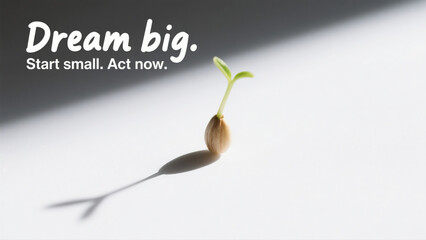 A small seedling is shown on a white background with the words "dream big, start small, act now" written below it