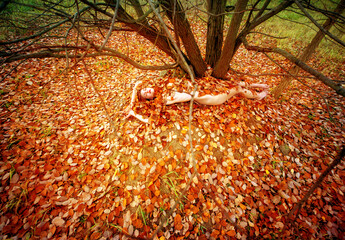 Sexy young nude woman lies under a tree covered in golden autumn leaves, blending with the natural...