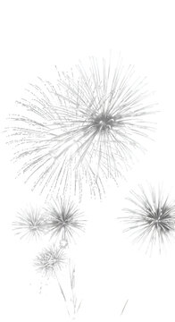 Silver Fireworks Illustration on Transparent Background