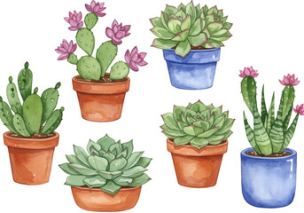 Fototapeta premium Watercolor Illustration of Potted Succulents and Cacti