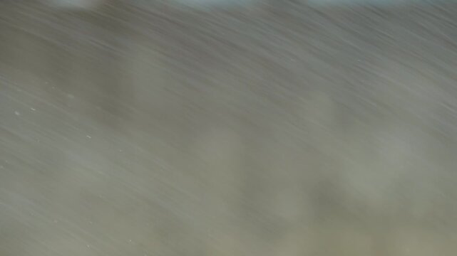 ぼやけた壁を背景に散水ノズルで撒かれた水のクローズアップ