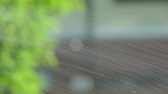 緑の木を背景に散水ノズルで撒かれた水のクローズアップ