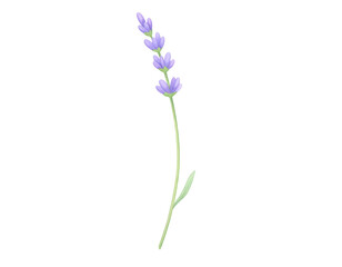 Fototapeta premium Pixel Art Lavender: A Delicate Digital Floral Design