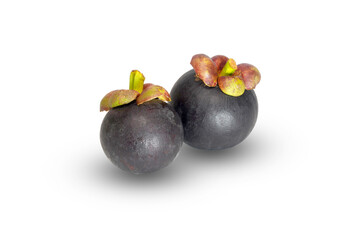 Fresh Mangosteen Fruit Pair on White Background