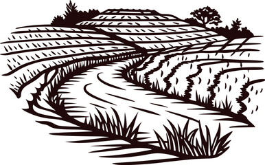Fototapeta premium Hand drawn terraced rice field landscape with winding path and grass in vintage engraved illustration