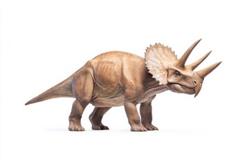 Fototapeta premium Realistic triceratops dinosaur illustration for educational and design use