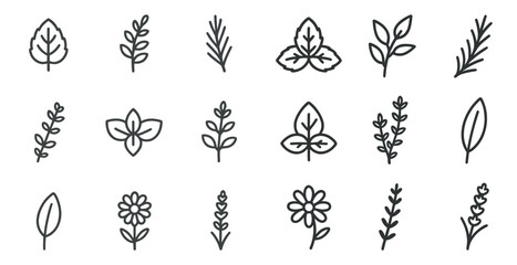 Botanical and floral outline icons set – line, nature, garden design symbols