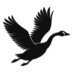 Fototapeta premium Silhouette of a goose in flight on a white background