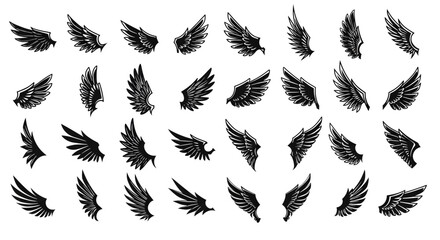 set of wings vector, black and white